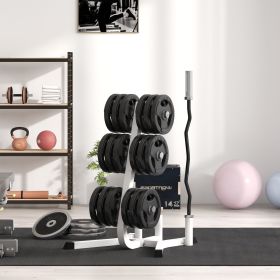 2-Inch Weight Plate Rack with Barbell Bar Holders, Olympic Weight Tree, 660 lbs. Capacity, White